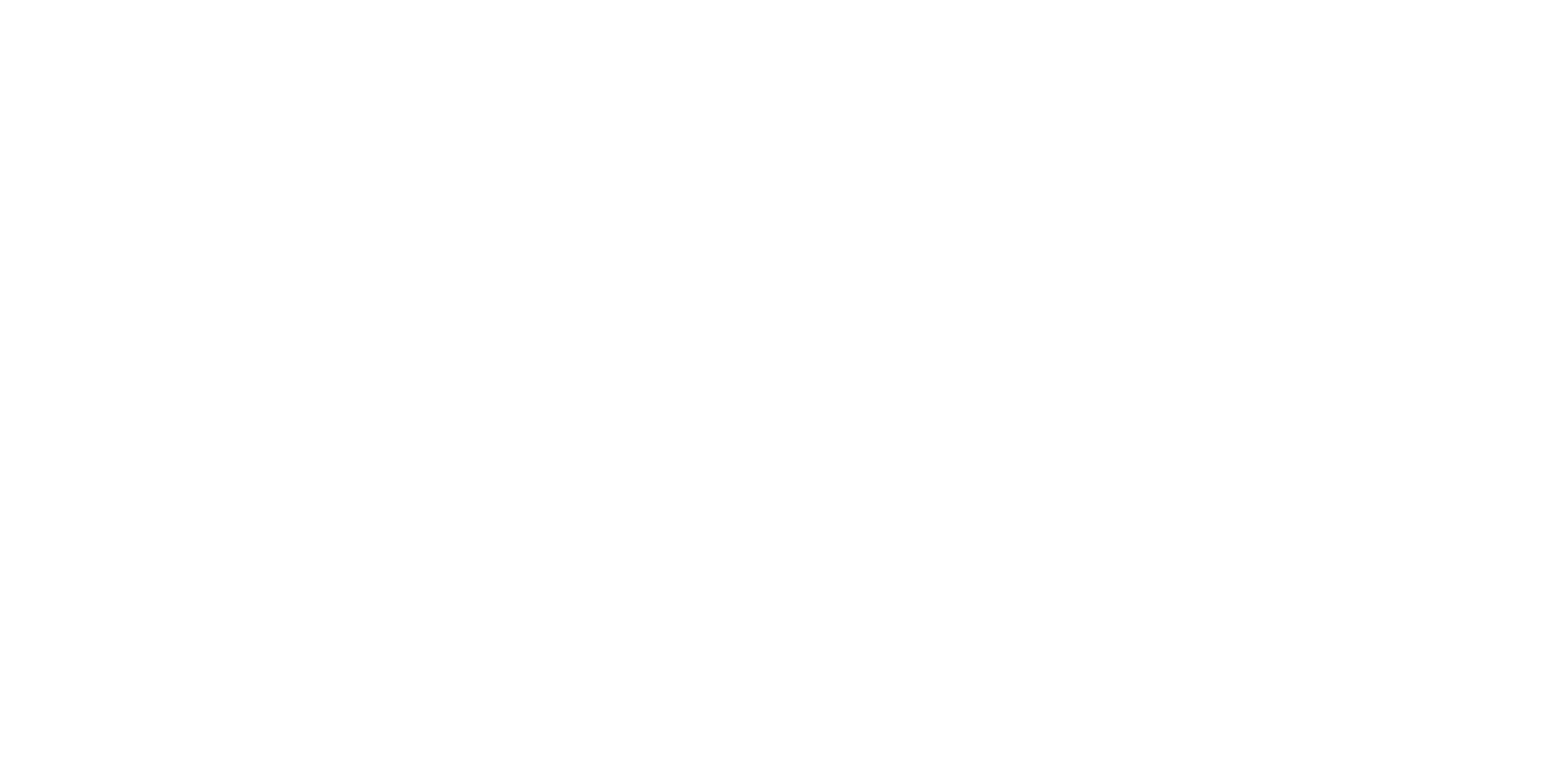 Bar Fight™